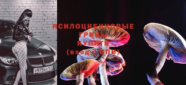 ПСИЛОЦИБИНОВЫЕ ГРИБЫ Белоозёрский