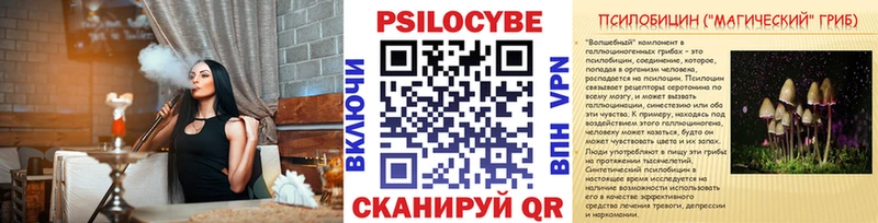 где купить наркоту  Сердобск  Псилоцибиновые грибы GOLDEN TEACHER 