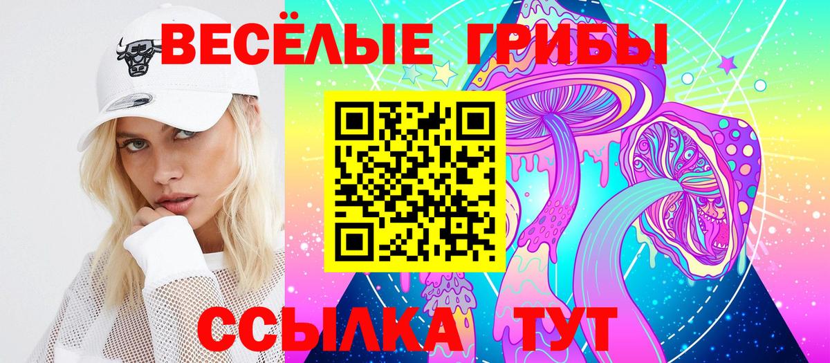 Сердобск  Галлюциногенные грибы ЛСД  Вход с VPN  Галлюциногенные грибы ЛСД 